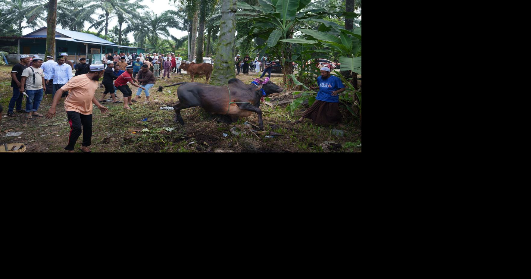 Malaysia Eid al-Adha Vincent Thian - AP May 26, 2026 24 mins ago