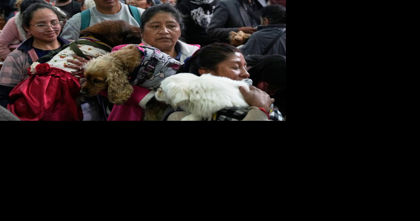 Bolivia Dog Day Juan Karita - AP Aug 16, 2026 27 mins ago