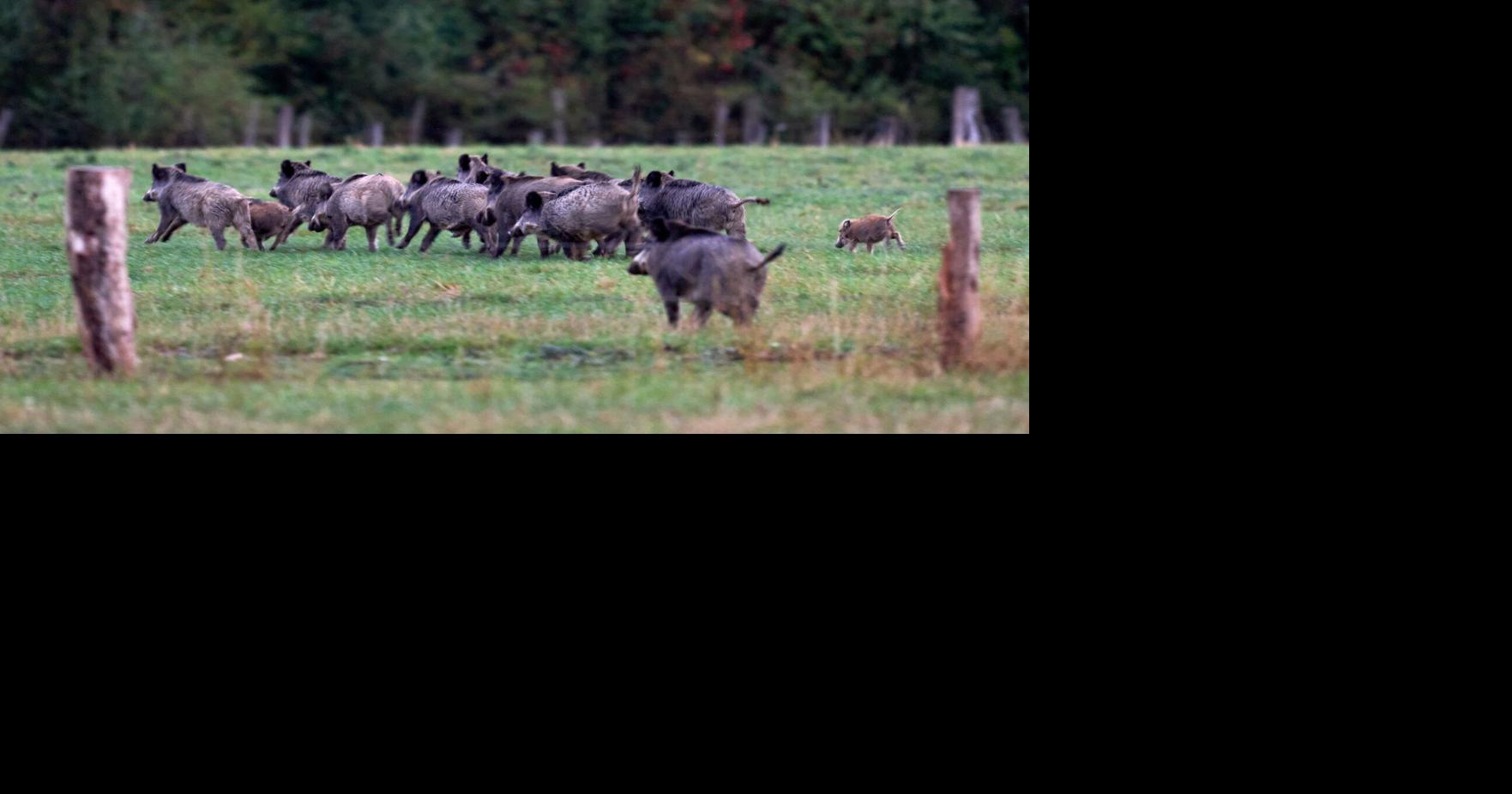 Germany Daily Life Michael Probst - AP Aug 28, 2026 25 mins ago