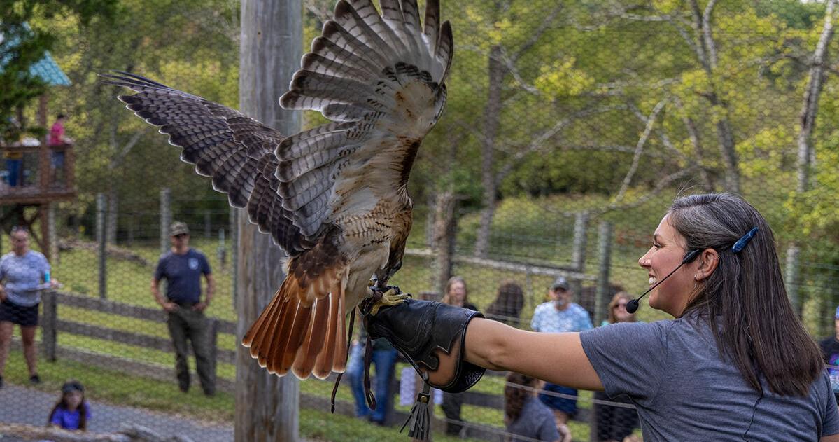 Salato Wildlife Education Center opens 2026 season March 10