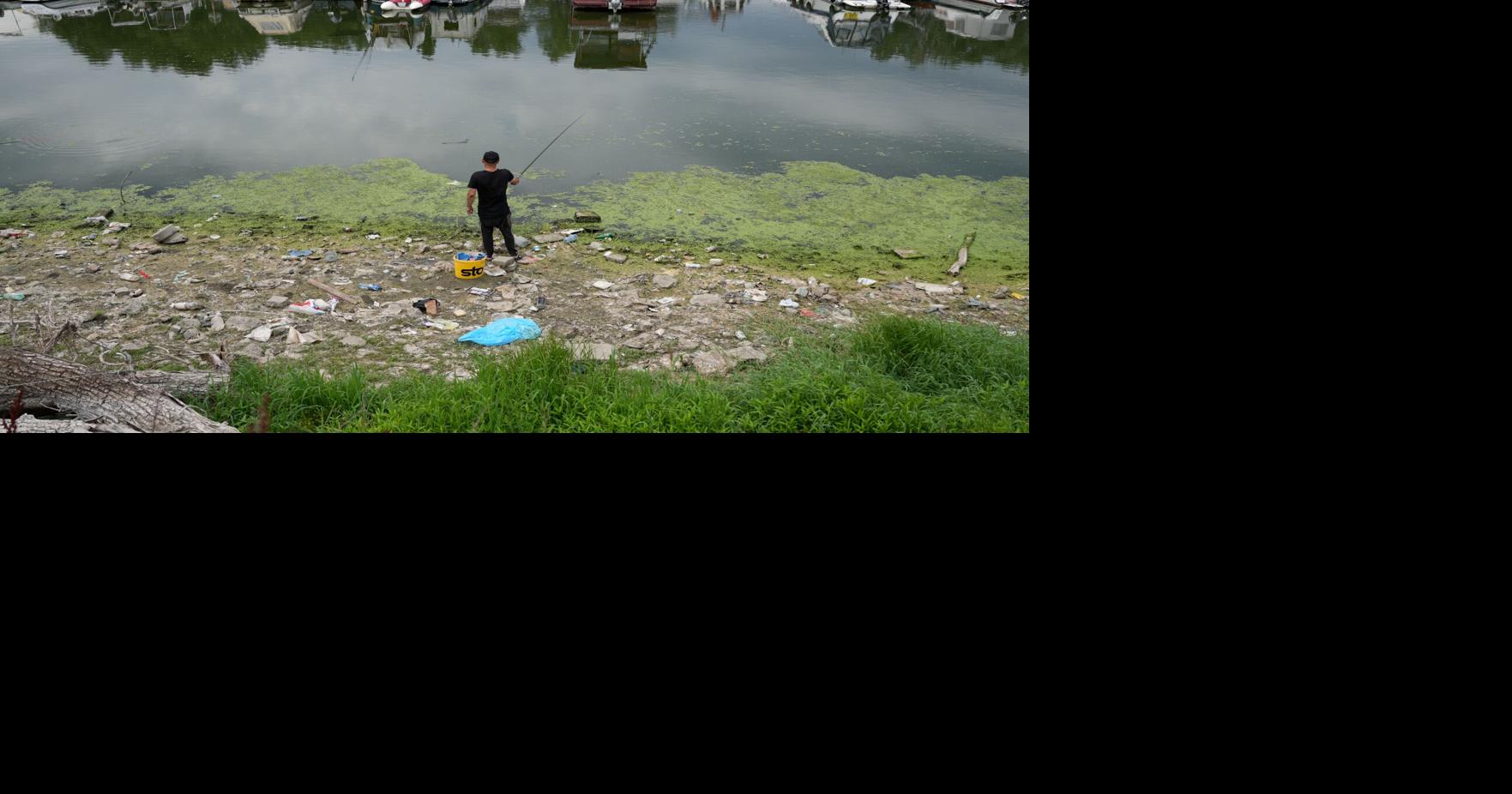 Serbia Daily Life Darko Vojinovic - AP Jul 11, 2026 18 mins ago