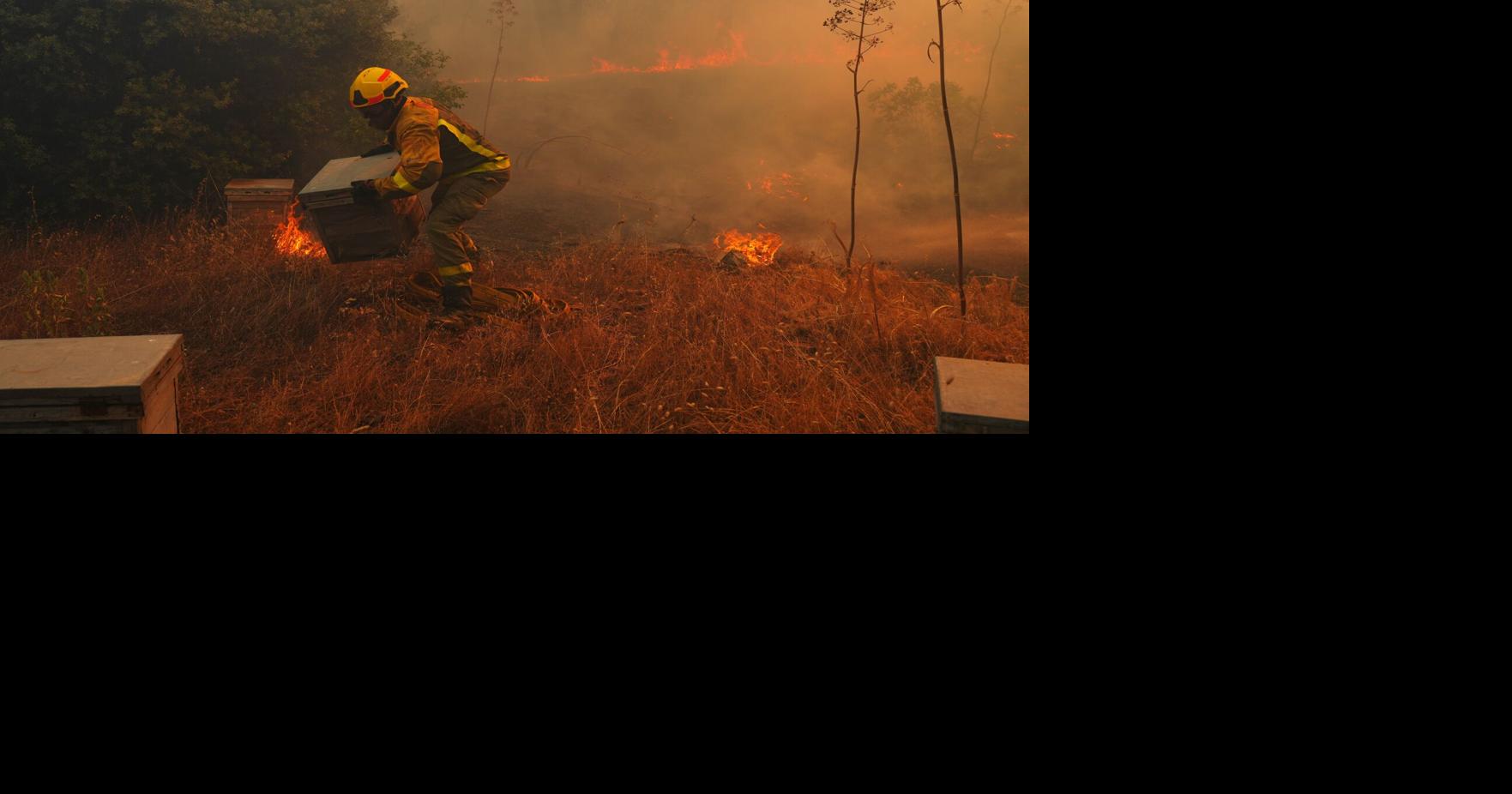 Climate El Nino Manu Fernandez - AP Jul 31, 2026 40 mins ago