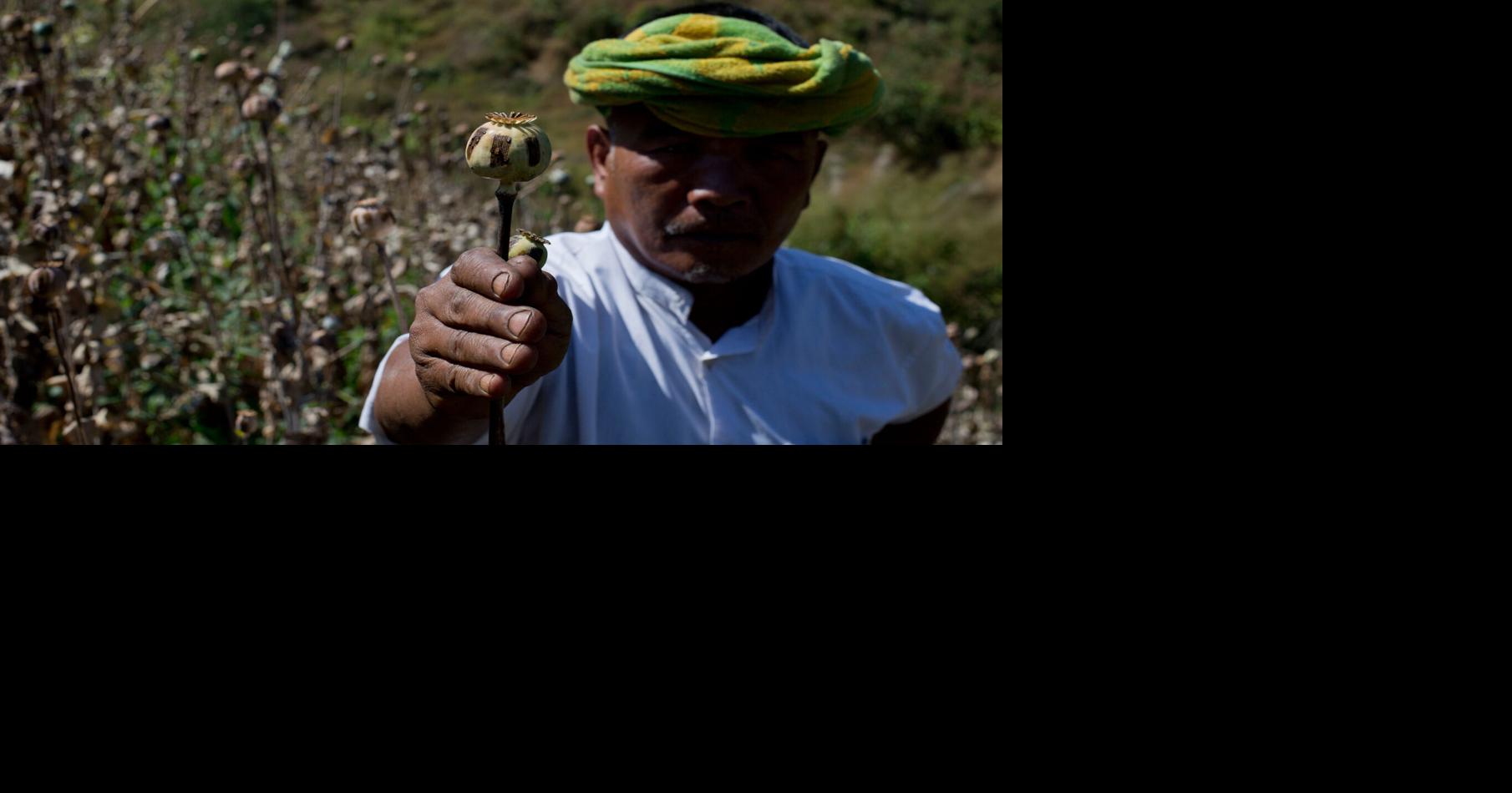 Myanmar opium cultivation hit highest level in a decade, UN report says