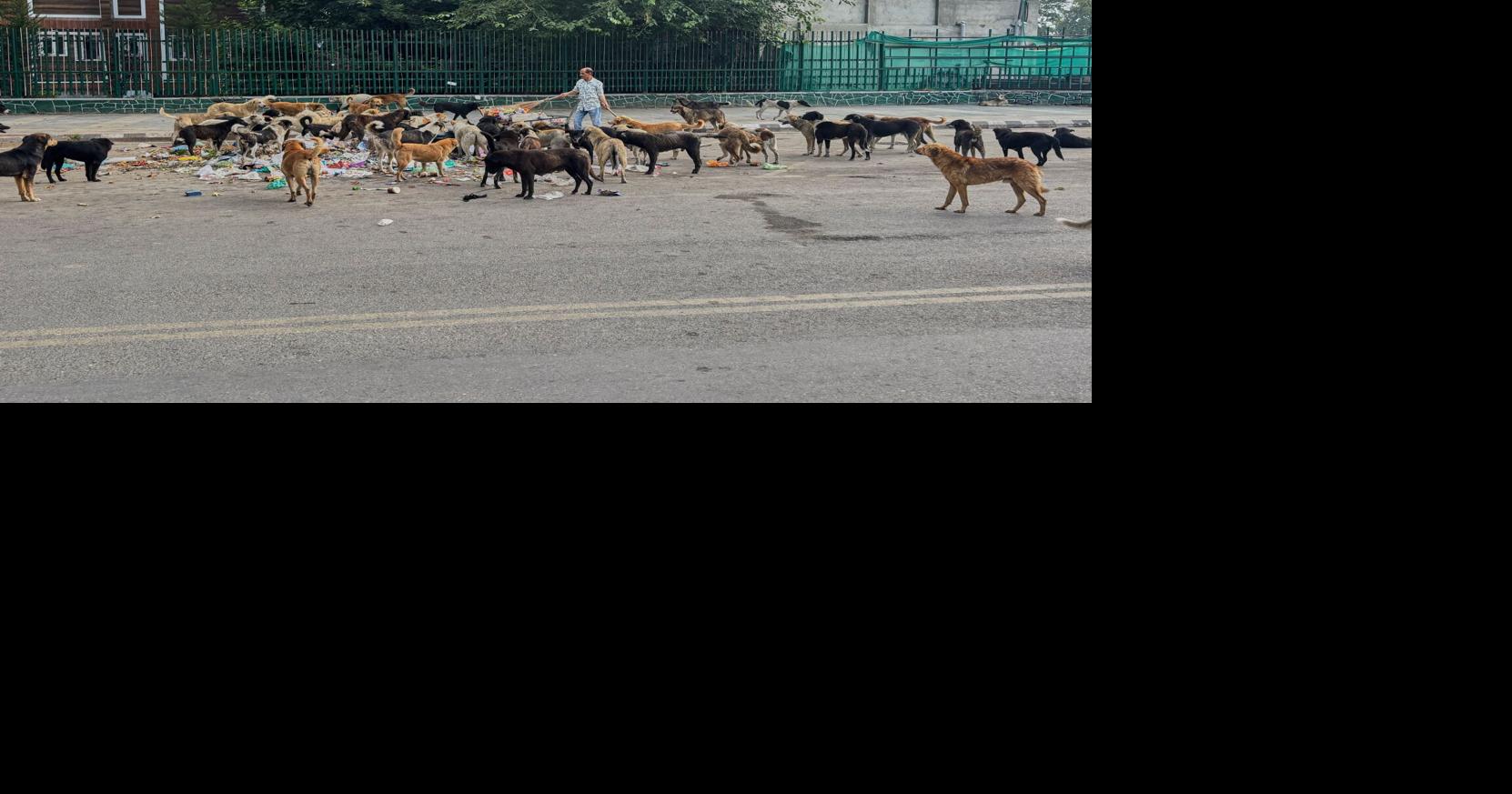 India Kashmir Daily Life Mukhtar Khan - AP Aug 11, 2026 38 mins ago