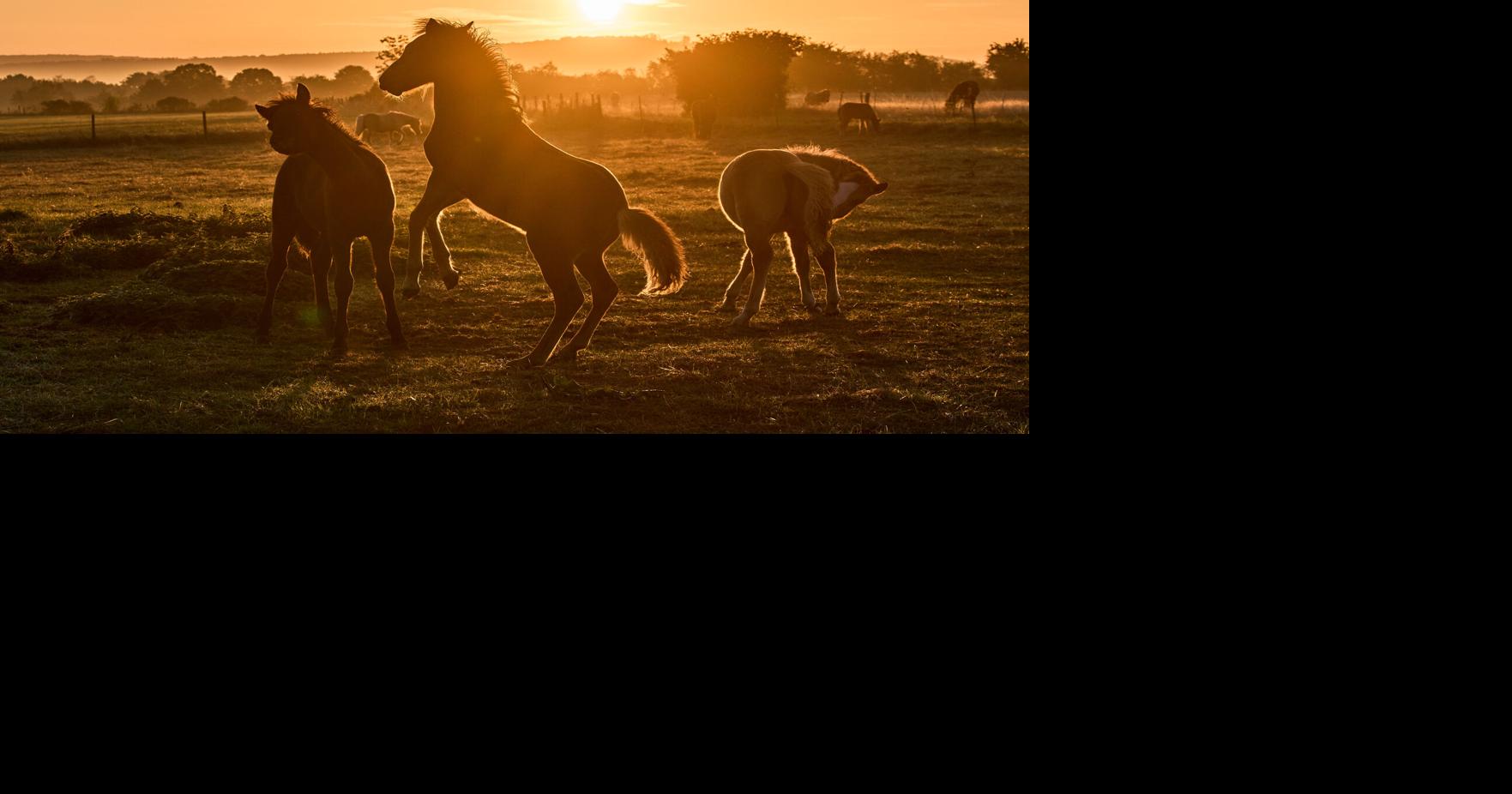 Germany Daily Life Michael Probst - AP Sep 10, 2026 22 mins ago