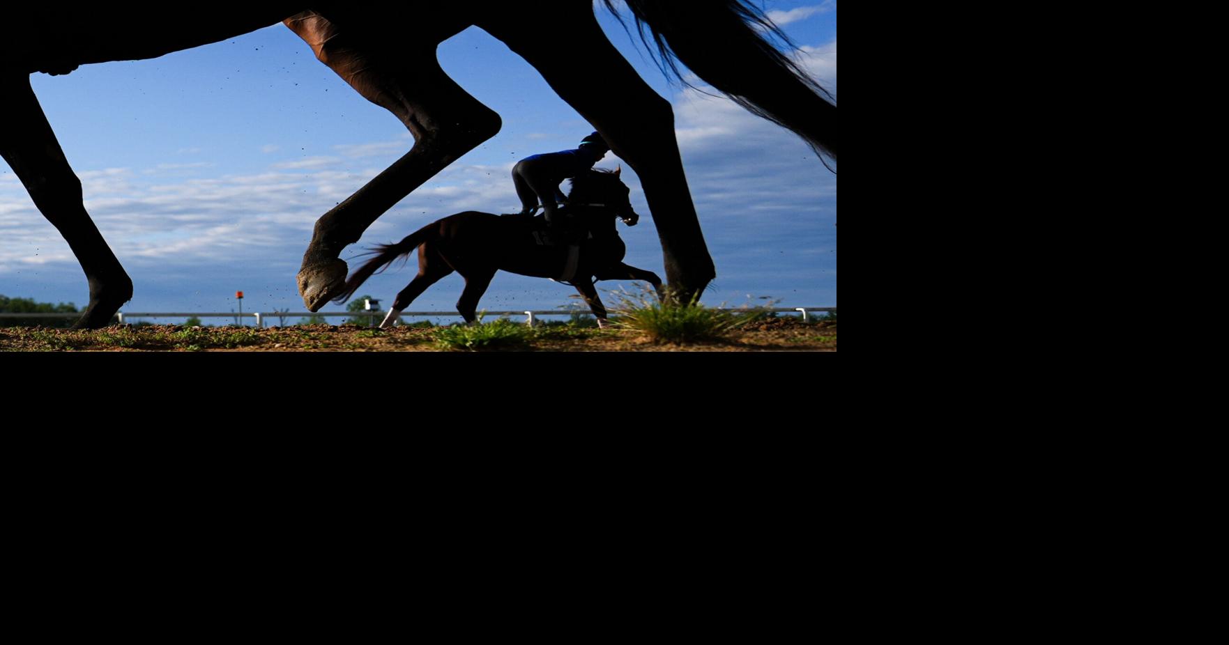 The Preakness at Laurel Park has a little bit of everything but the Kentucky Derby winner