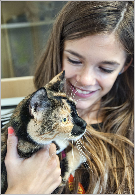 web08.09.13humanesociety