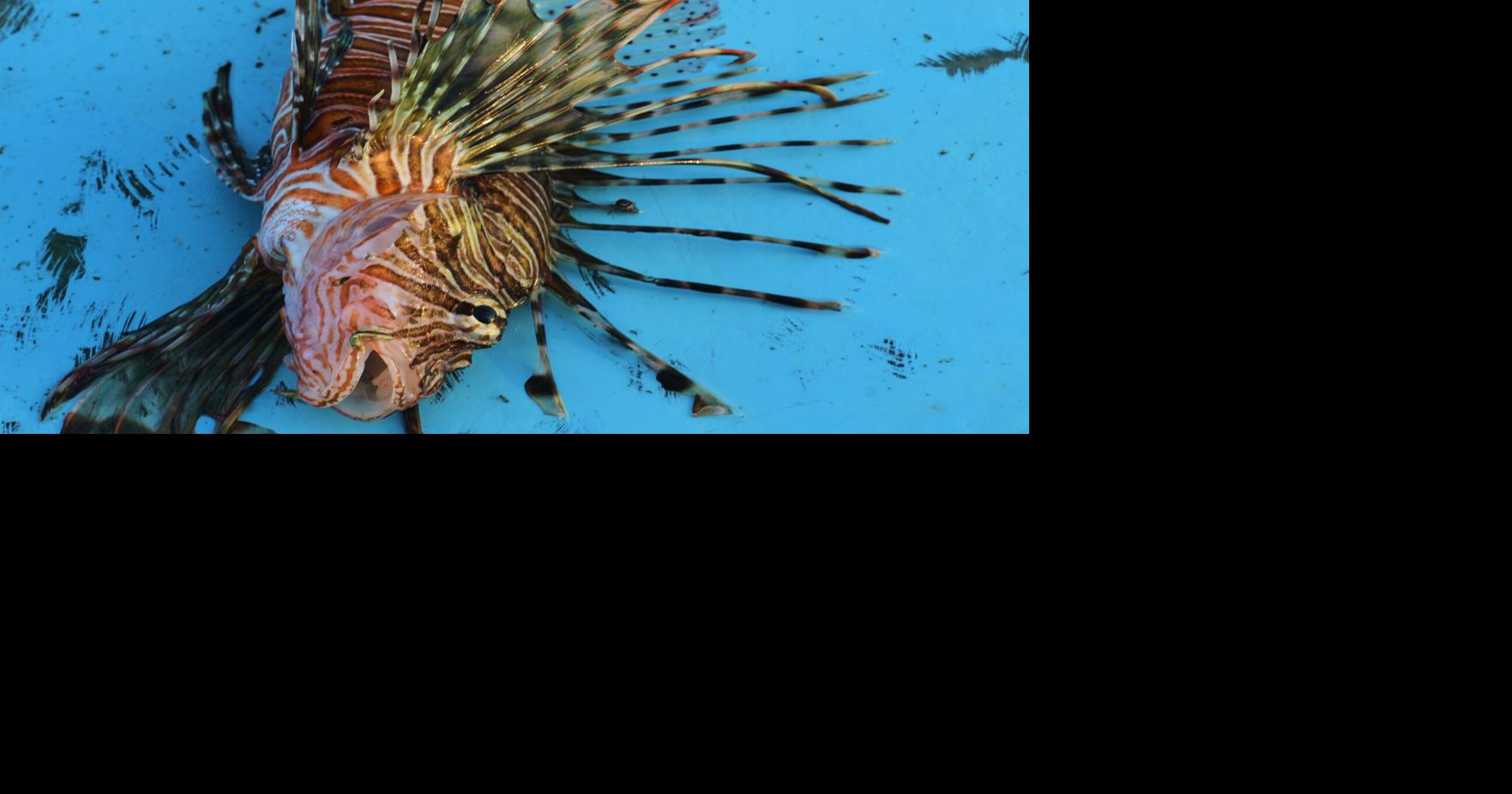 Climate Mediterranean Sea Hotter Waters Petros Karadjias - AP Jul 29, 2026 31 mins ago