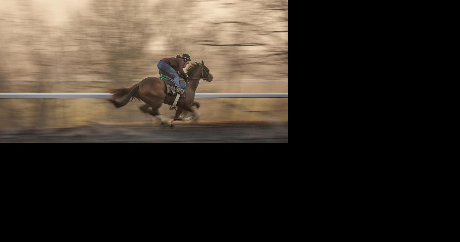 Study analyzes buyers' assumptions about carpal chips in Thoroughbred yearlings By Jordan Strickler University of Kentucky Jun 20, 2026 2 mins ago