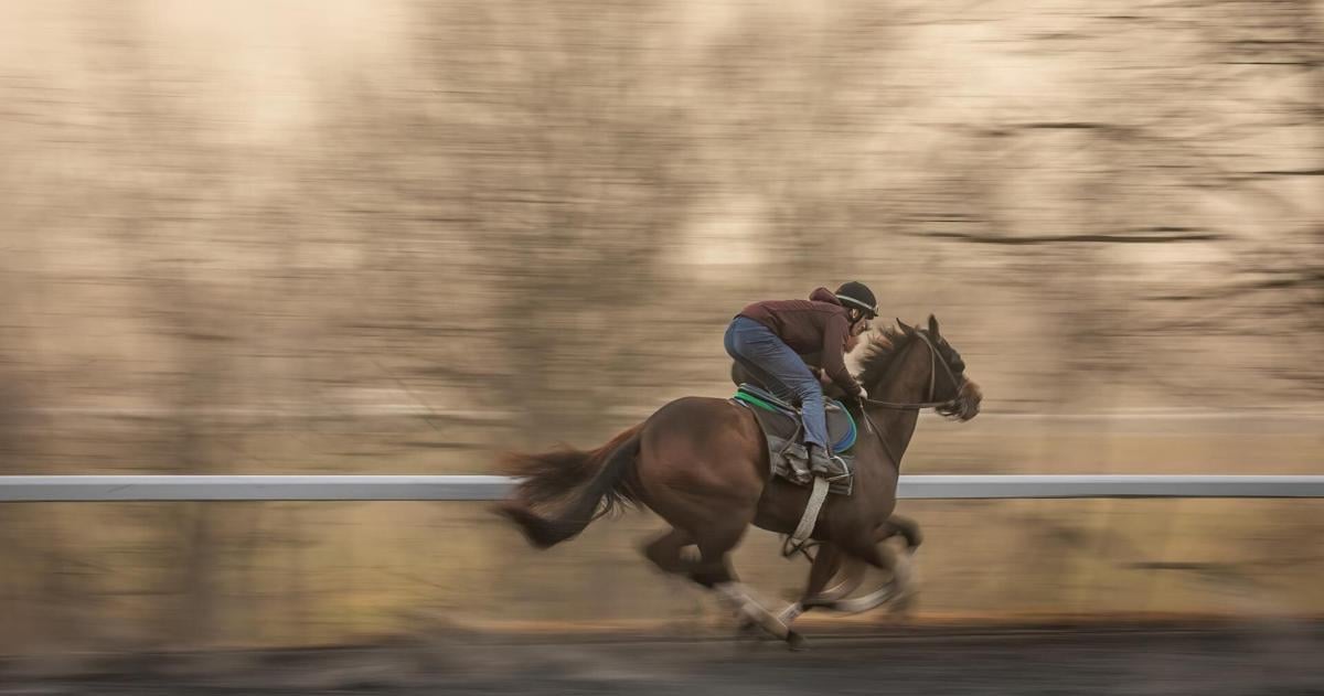 Study analyzes buyers' assumptions about carpal chips in Thoroughbred yearlings By Jordan Strickler University of Kentucky Jun 20, 2026 2 mins ago