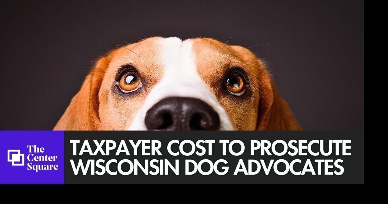 Taxpayer cost to prosecute Wisconsin dog advocates could be millions, attorney says By Jared Strong | The Center Square Jul 27, 2026 Jul 27, 2026 Updated 2 mins ago