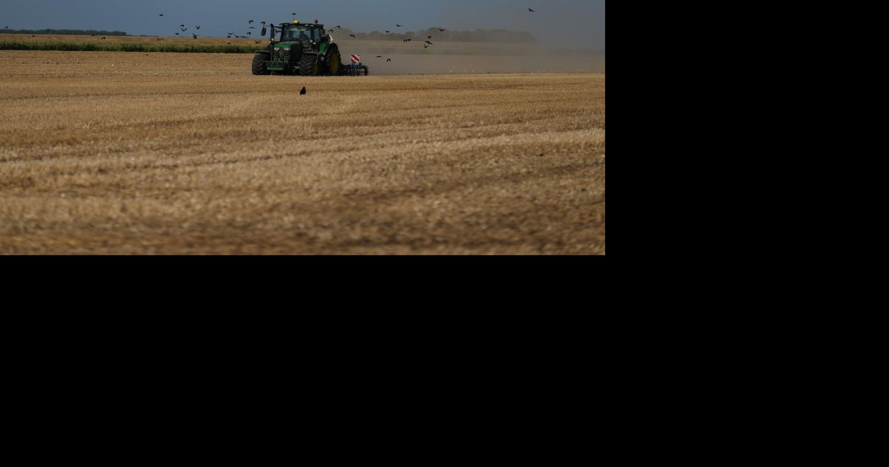 A punishing European drought shrivels crops from Dutch potatoes to Bosnian corn A drought that is slamming Europe this summer is hitting farmers across Europe hard By MIKE CORDER - Associated Press Aug 13, 2026 24 mins ago