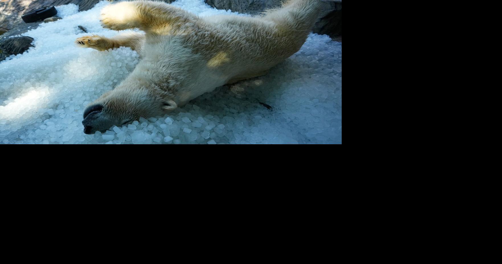 APTOPIX Czech Republic Extreme Weather Heat Petr David Josek - AP Jul 30, 2026 16 mins ago