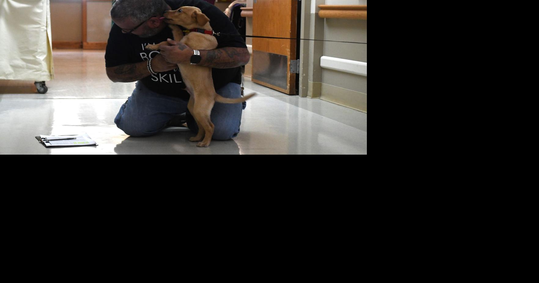 Ridgewood Terrace introduces pet therapy program Local News the