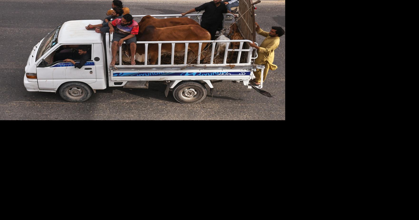 Pakistan Eid al-Adha Ali Raza - AP May 25, 2026 21 mins ago