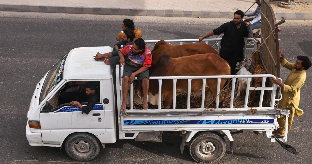 Pakistan Eid al-Adha Ali Raza - AP May 25, 2026 21 mins ago