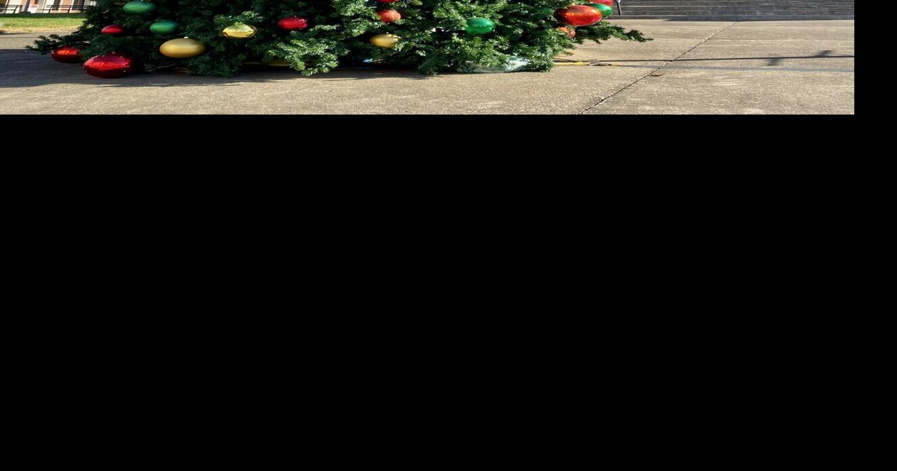 Christmas tree lighting tonight Local News