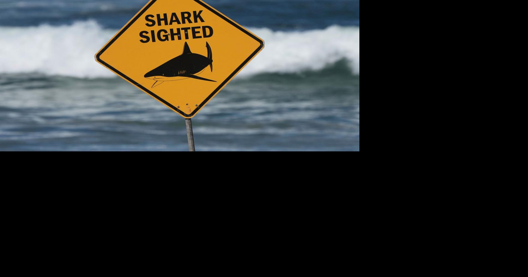 Australia Shark Attack Mark Baker - AP Jun 13, 2026 10 mins ago