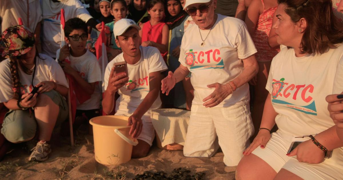 Lebanon Sea Turtle Activst Killed Hussein Malla - AP Jun 21, 2026 8 mins ago