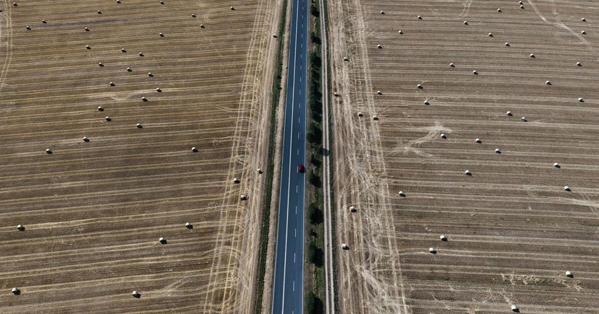APTOPIX Germany Weather Michael Probst - AP Jul 15, 2026 28 mins ago