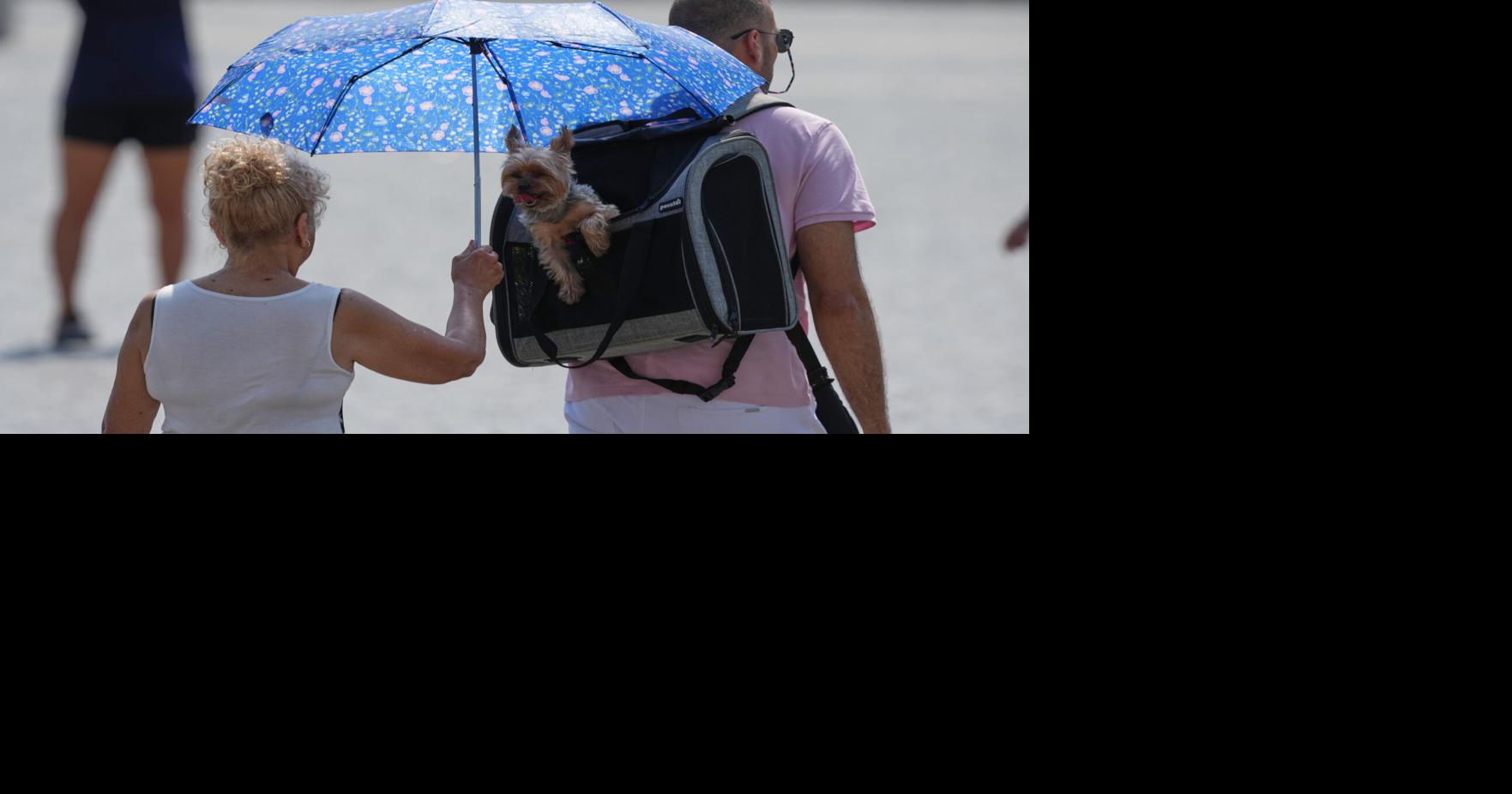 Vatican Extreme Weather Heat Gregorio Borgia - AP Aug 2, 2026 13 mins ago