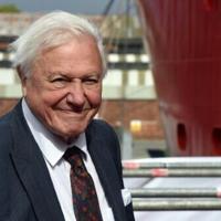 100 years on Earth: Iconic naturalist Attenborough marks century ...