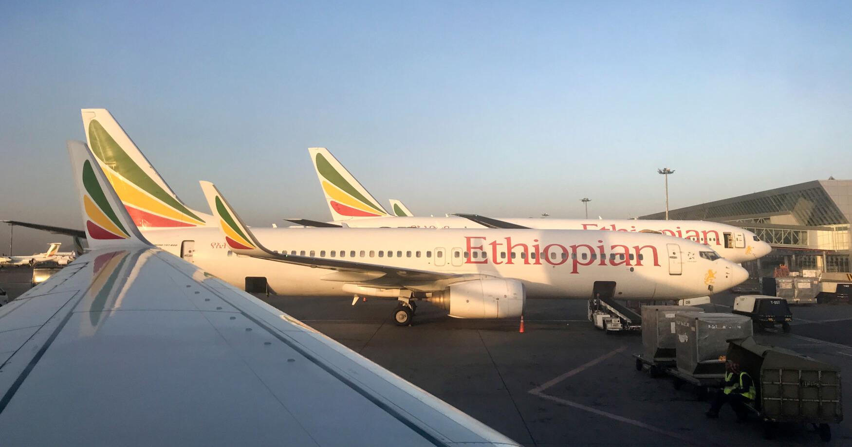 Ethiopia national carrier cancels flights to Tigray region as fears grow of renewed fighting
