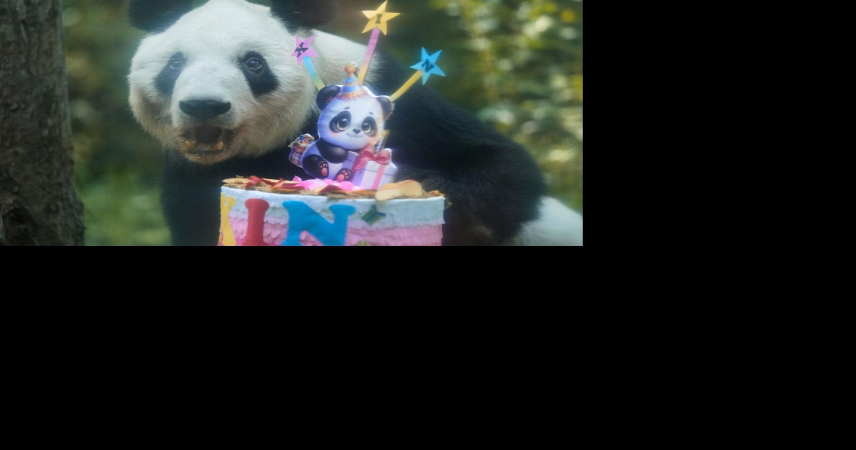 Mexico Panda Birthday Marco Ugarte - AP Jul 4, 2026 22 mins ago