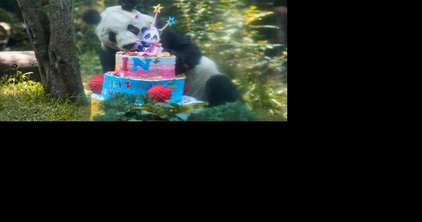 Mexico Panda Birthday Marco Ugarte - AP Jul 4, 2026 20 mins ago