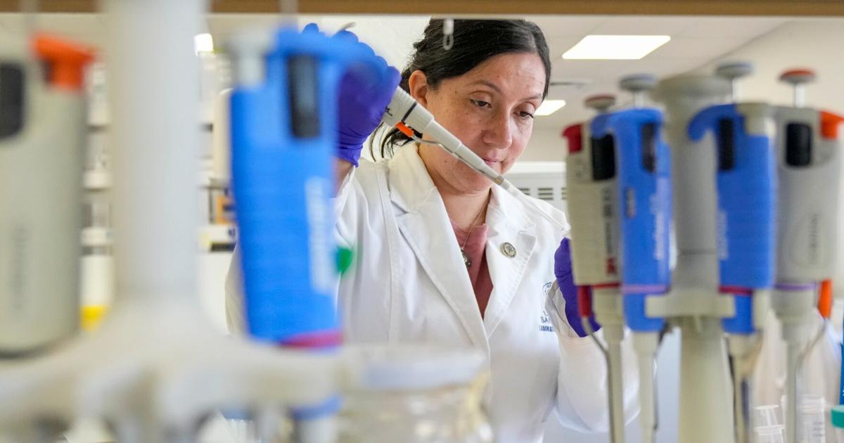 Tools to fight hantavirus show promise despite limited funding. Now researchers hope to continue There were no treatments or vaccines to protect people during the recent hantavirus outbreak on a cruise ship By NAYARA BATSCHKE and SUSAN MONTOYA BRYAN - Associated Press Jun 3, 2026 11 mins ago