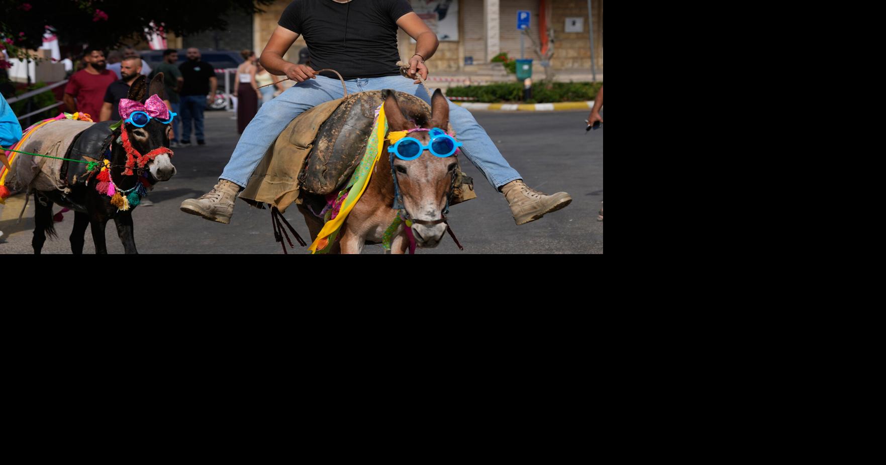 Lebanon Donkey Racing Hussein Malla - AP Sep 6, 2026 14 mins ago