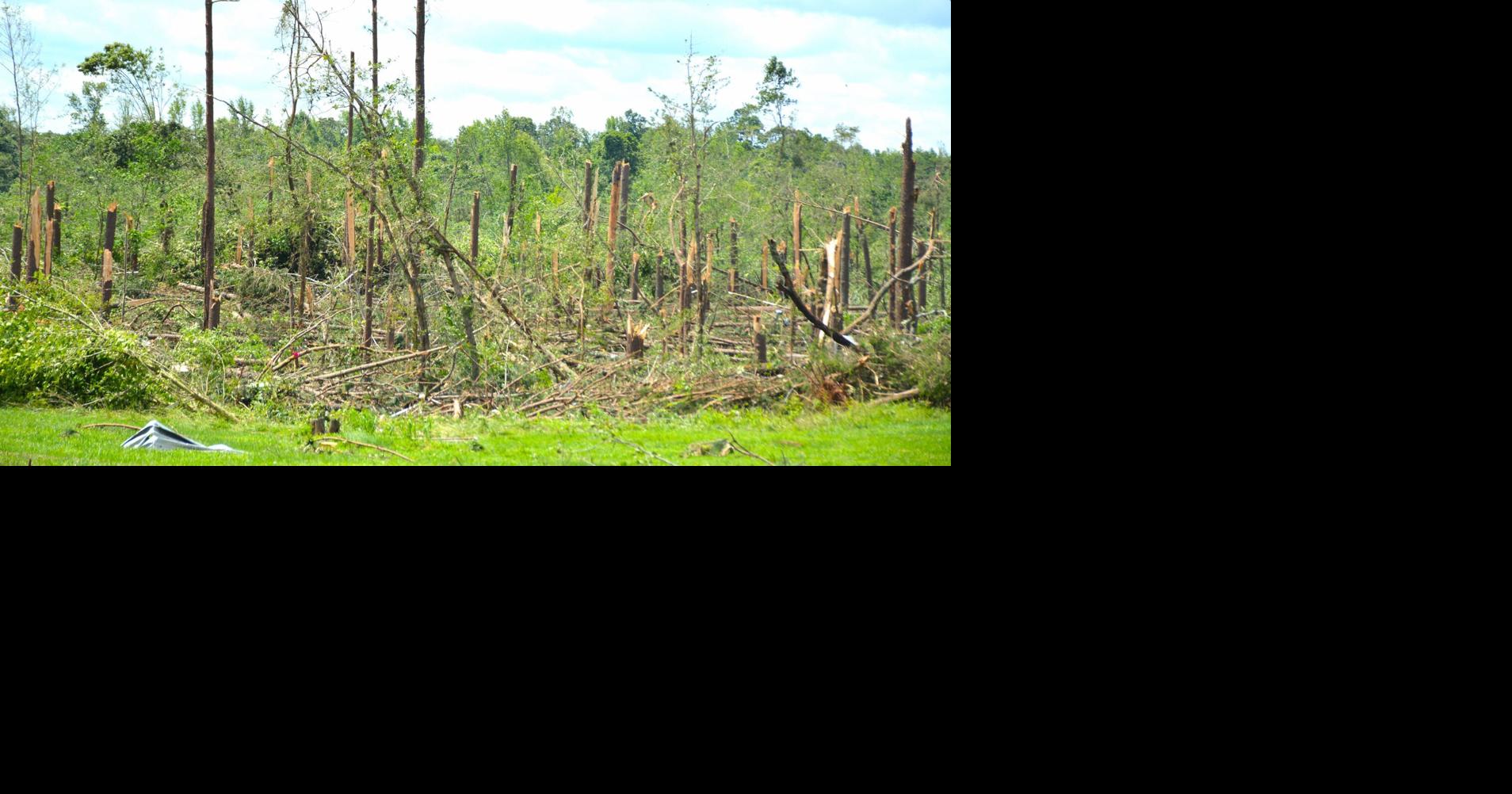 Nearly 700 trees donated to Western Ky. counties hit by 2021 tornado