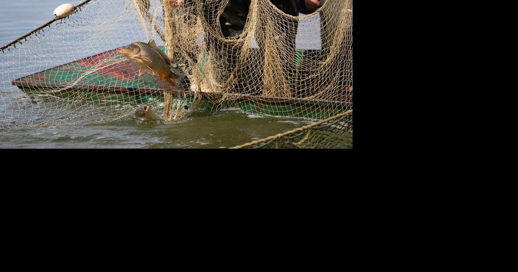 Europe Drought Fish Petr David Josek - AP Aug 28, 2026 30 mins ago