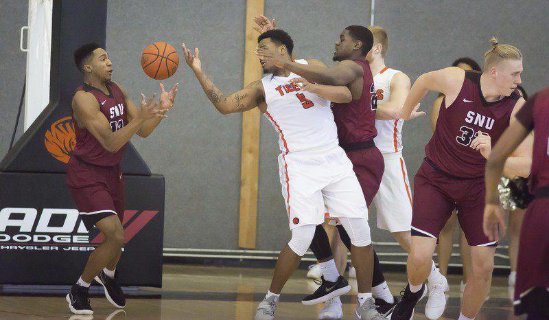 Tigers Take It On The Chin Against No 21 Southern Naz Local