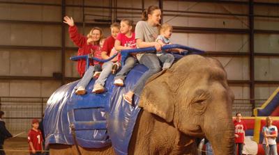 Elephant Ride At The Circus Local News Theadanews Com