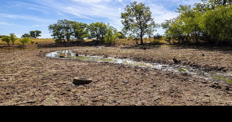 Producers encouraged to mitigate risk, take advantage of drought relief - Theadanews