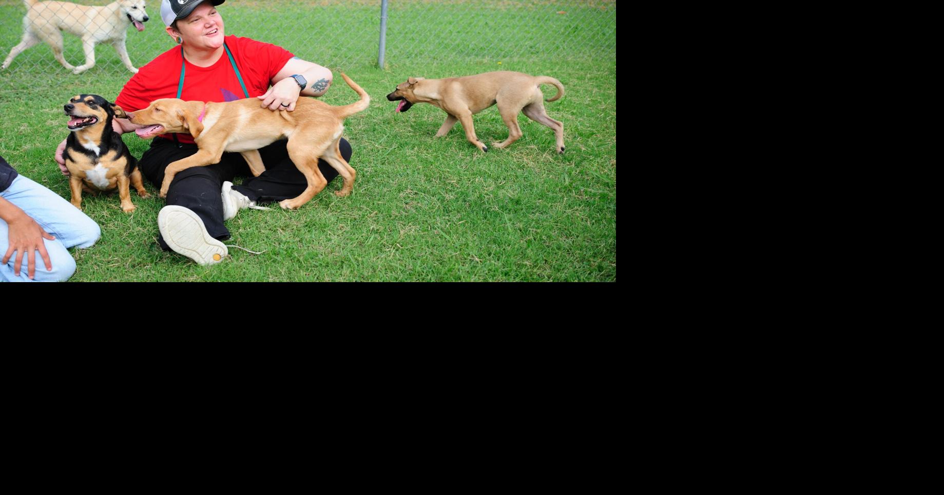 Rotarians help PAWS bets get adopted | Local News | theadanews.com