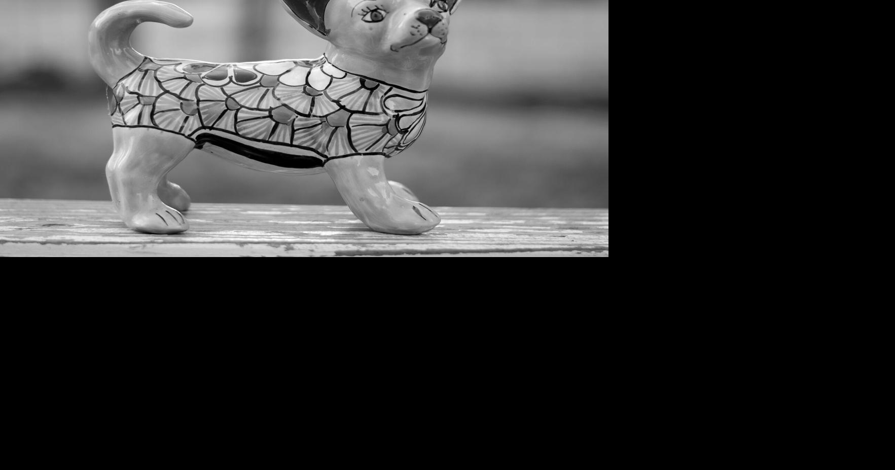 Picture this: a world without color | Lifestyles | theadanews.com