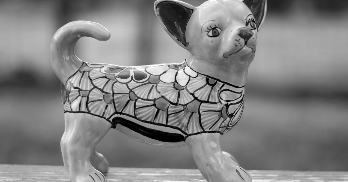 World Without Color Picture this: a world without color | Lifestyles | theadanews.com