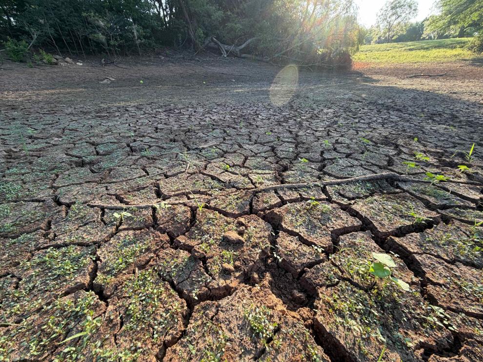 'Flash Drought'looms over area