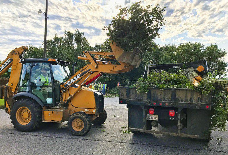 Citywide pickup of tree limbs, brush scheduled Local News
