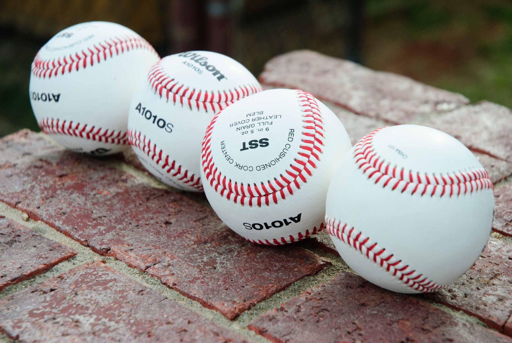 Local Baseball & Softball Schedules BVM Sports