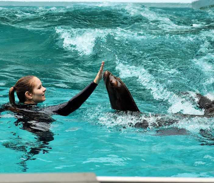 June And July Events At The Okc Zoo Local News Theadanews Com