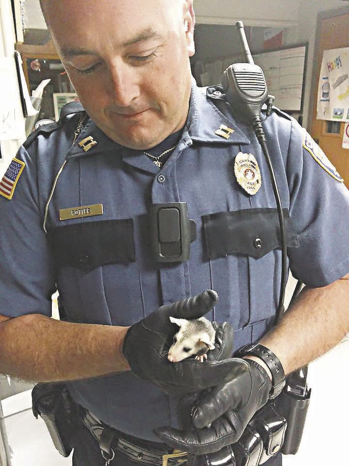 Jason Potter Making a difference News