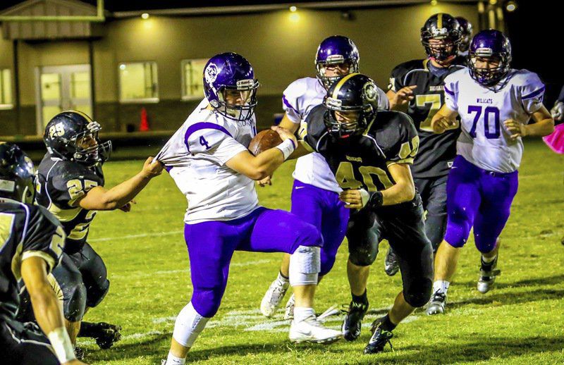 Horton leads Coalgate Wildcats past Marietta Local Sports