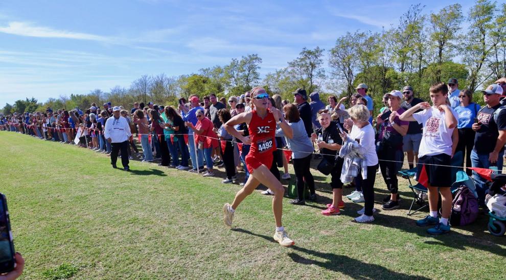 Delozier races to Class 2A state cross country title