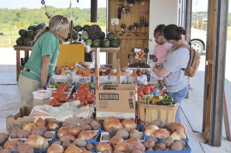Atkins Family Farms grows large sweet onions Local News