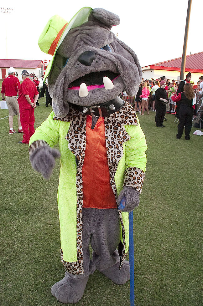 Sulphur Bulldog Mascot