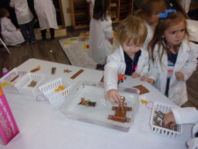 Students use literacy to support STEM learning