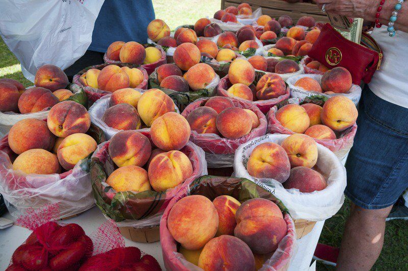 Peach Festival as popular as ever Local News